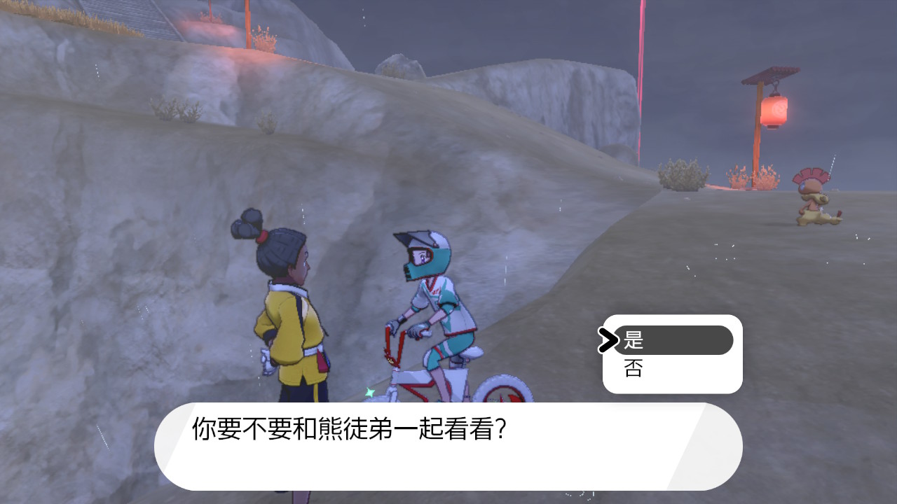 精灵宝可梦剑盾