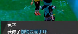 精灵宝可梦剑盾