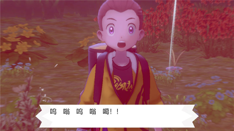 精灵宝可梦剑盾
