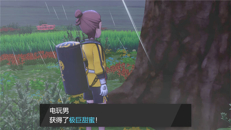 精灵宝可梦剑盾