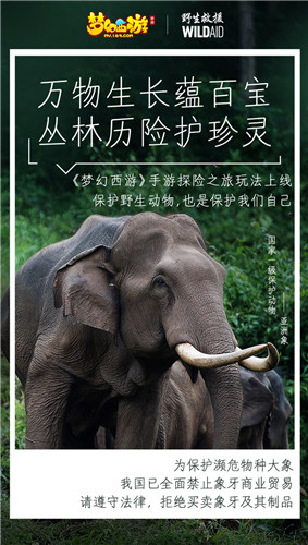 守望生灵！《梦幻西游》手游携手WildAid打造野生动物保护新玩法