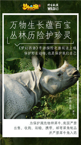 守望生灵！《梦幻西游》手游携手WildAid打造野生动物保护新玩法