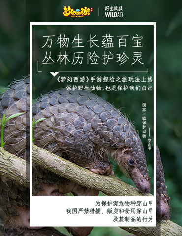 守望生灵！《梦幻西游》手游携手WildAid打造野生动物保护新玩法