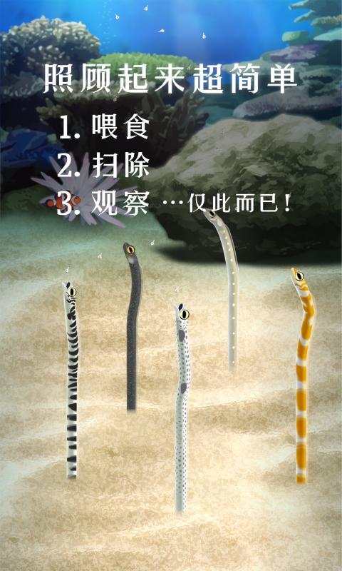 养育花园鳗的治愈游戏截图