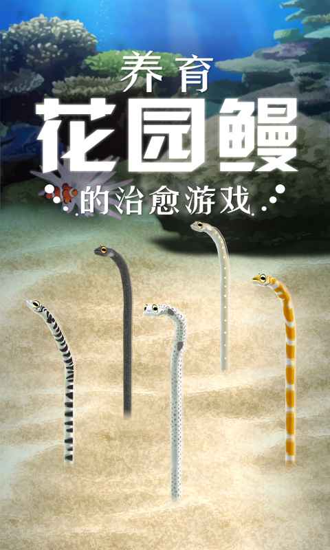 养育花园鳗的治愈游戏截图