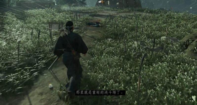 对马岛之魂