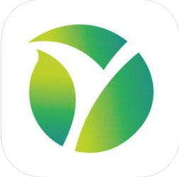 医格