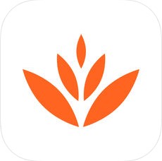 癫痫康复治疗