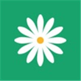 花帮主