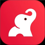 小红象
