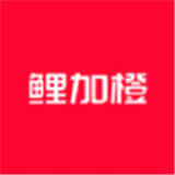 鲤加橙