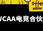 同学，你有一份#WCAA电竞合伙人#的offer
