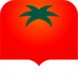 番茄小说