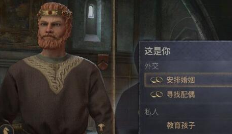 十字军之王3