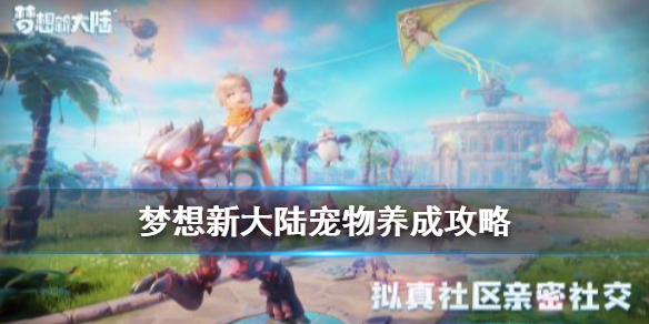 梦想新大陆
