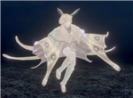 仁王2平安京讨魔传蛇目蝶介绍