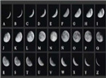 犯罪大师永恒之门星光密码 星光排列组合答案
