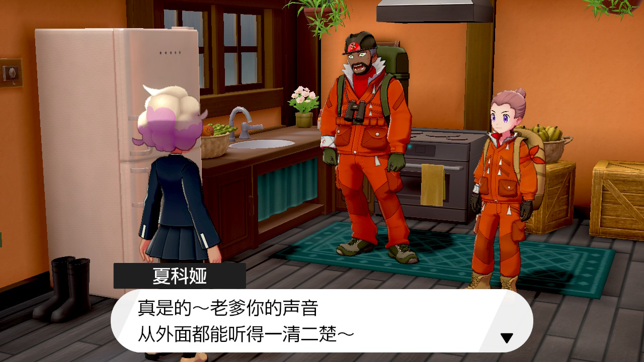 精灵宝可梦剑盾