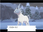 宝可梦剑盾雪暴马在哪 白马获取方法