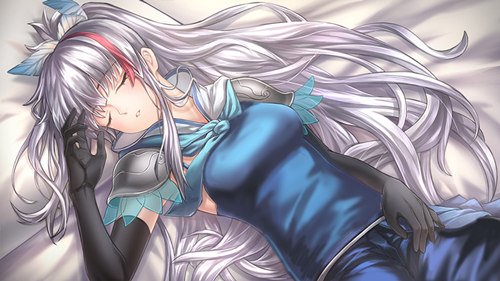 《姬魔恋战纪》姐妹丼三分之一