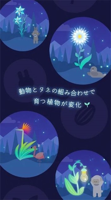 夜之森手机版截图