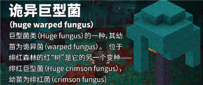 我的世界1.28下界版本