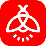 火萤视频壁纸