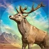 野鹿狩猎新版