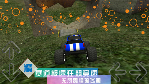 疯狂3D赛车安卓版截图