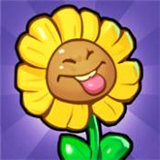 花花不要惹游戏