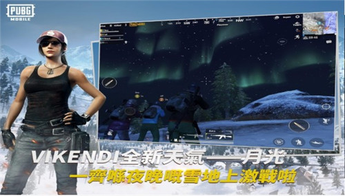 吃鸡国际服手游截图