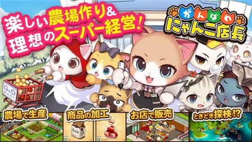 加油哦猫咪店长截图