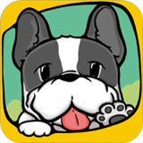 爱宠游app