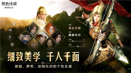黑色沙漠截图