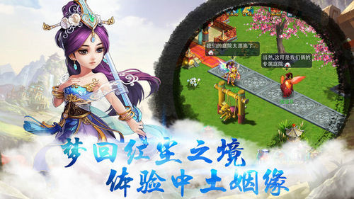 天王西游截图