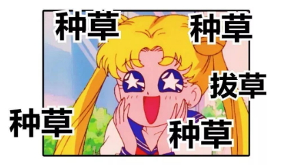 流量竞争趋于白热化，我们似乎找到了一片值得探索的“流量新蓝海” 