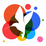 小鸟壁纸app