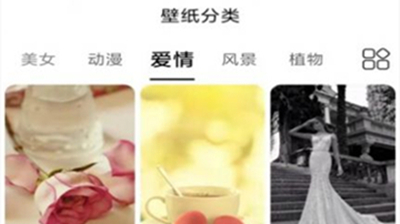 飞花动态壁纸