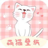 萌猫桌面壁纸