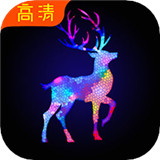 手机美图壁纸大全