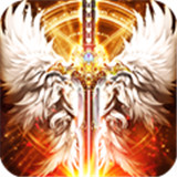 白金汉斯
