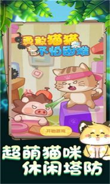勇敢猫猫不怕困难截图