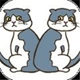 猫的错误游戏