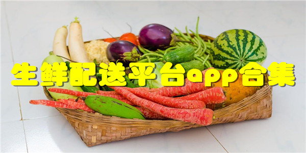 生鲜配送平台app应用大全