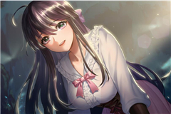 《姬魔恋战纪》体会单身狗没有的乐趣
