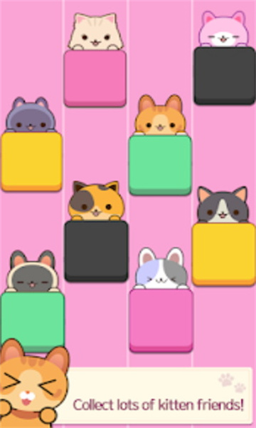猫咪弹钢琴截图