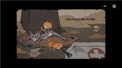 流浪猫求生之路