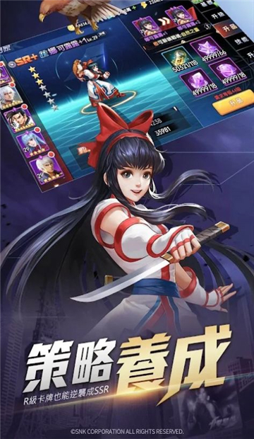 格斗之魂截图