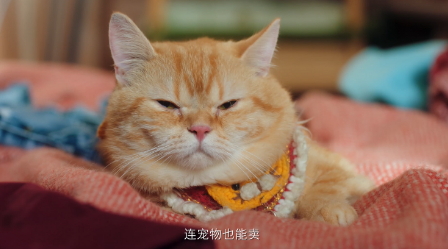 《魔力宝贝：旅人》公测倒计时2天，与阿sa一起穿越法兰做生意！