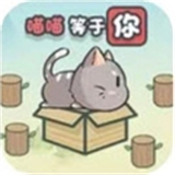这不是推箱子安卓版
